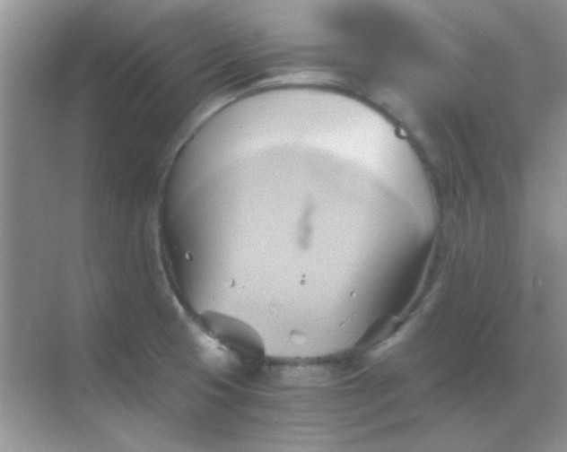 X0000068861425200605192005