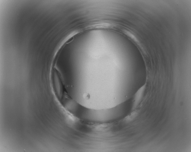 X0000068861426200605192005