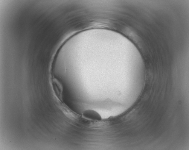 X0000068861427200605192005