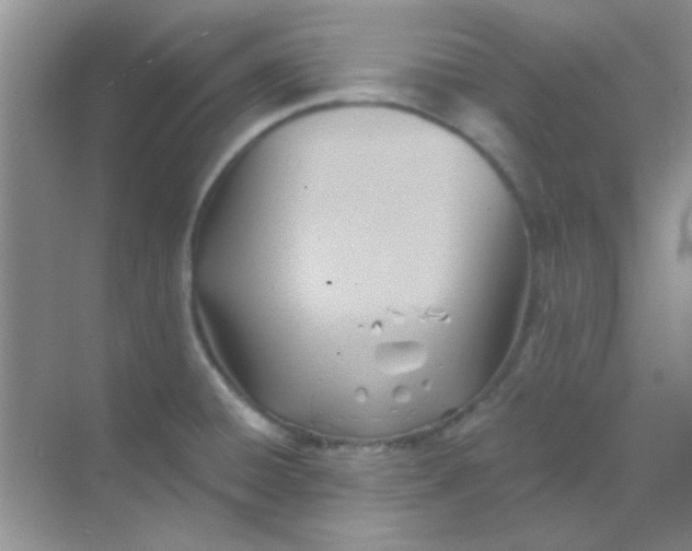 X0000068861428200605192005