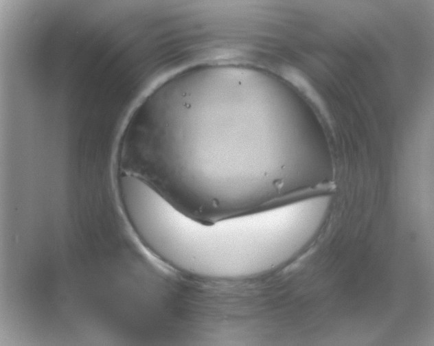 X0000068861429200605192005