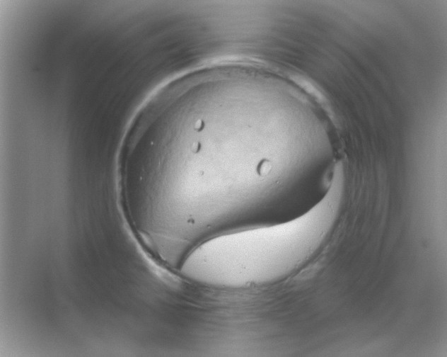 X0000068861430200605192006