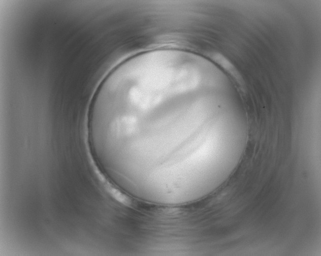 X0000068861431200605192006