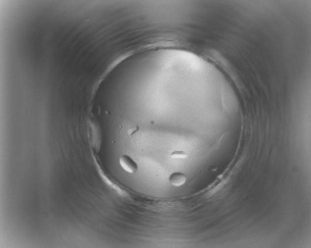 X0000068861433200605192006