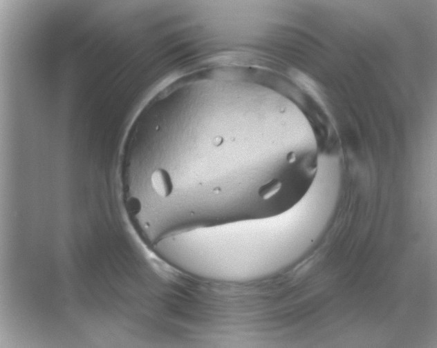 X0000068861434200605192006