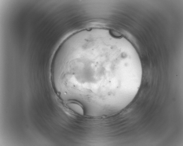 X0000068861435200605192006