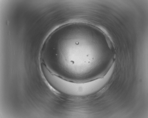 X0000068861438200605192006