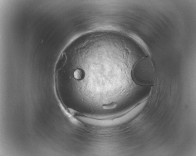 X0000068861439200605192006