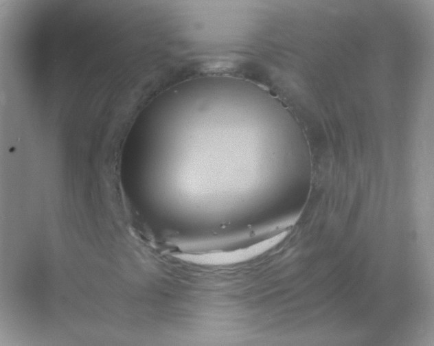 X0000068861441200605192005