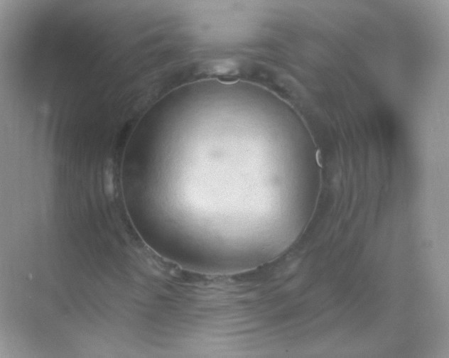 X0000068861442200605192005