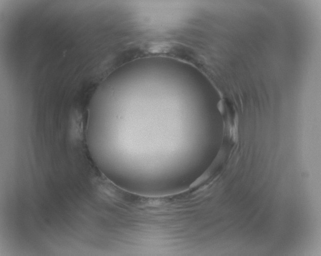 X0000068861443200605192005