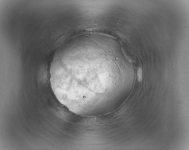 X0000068861444200605192005