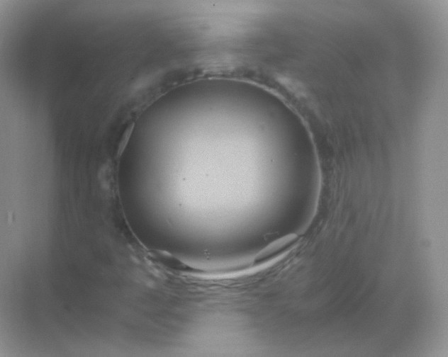 X0000068861445200605192005