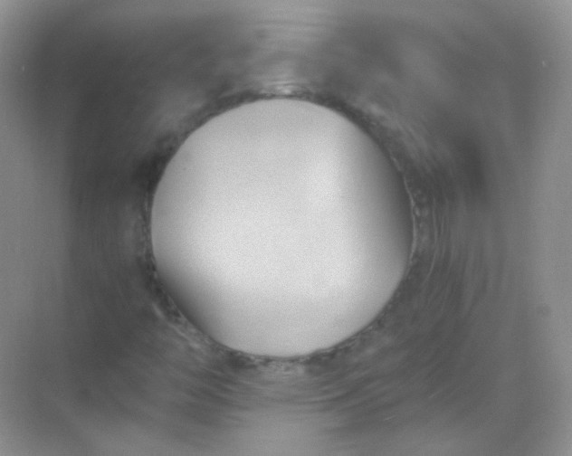 X0000068861446200605192005