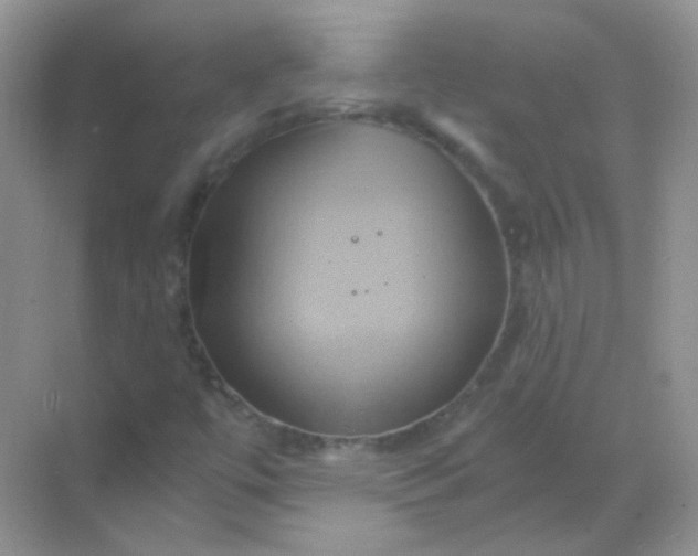 X0000068861447200605192005