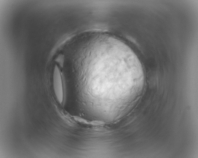 X0000068861448200605192005