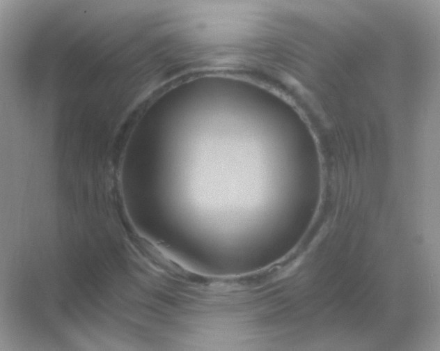 X0000068861449200605192005