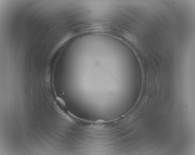 X0000068861450200605192005