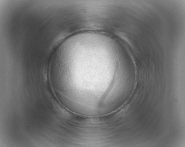 X0000068861451200605192005