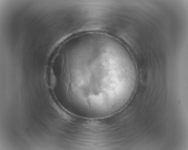 X0000068861452200605192005