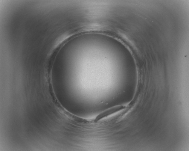 X0000068861453200605192005