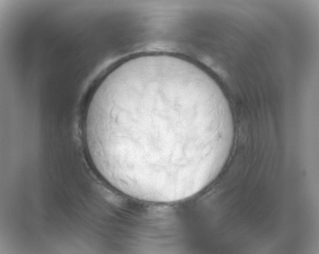 X0000068861454200605192005