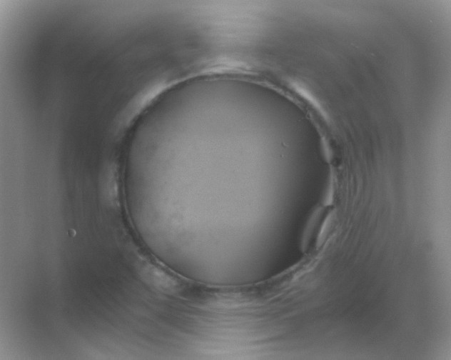 X0000068861455200605192005