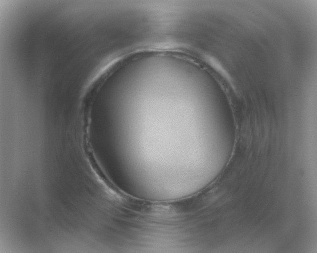 X0000068861456200605192005