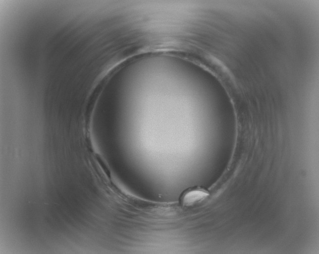 X0000068861457200605192005