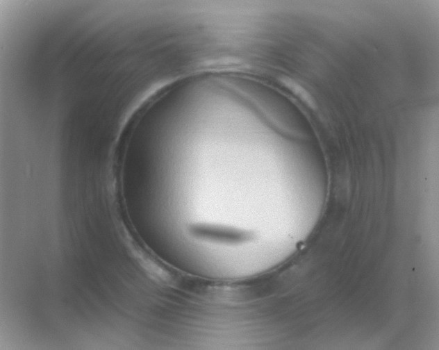 X0000068861458200605192005