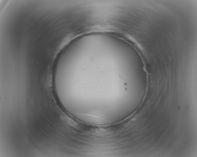 X0000068861459200605192005