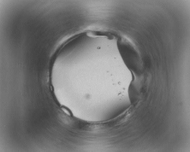 X0000068861461200605192005