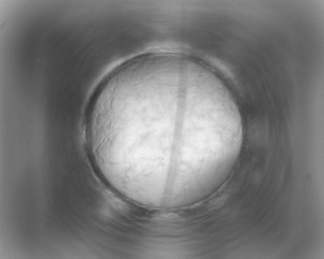 X0000068861462200605192005