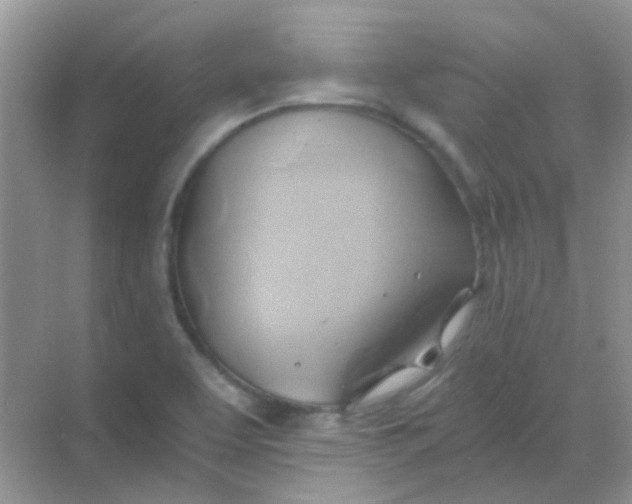 X0000068861463200605192004