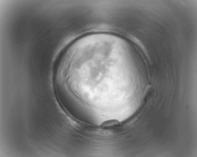 X0000068861464200605192004