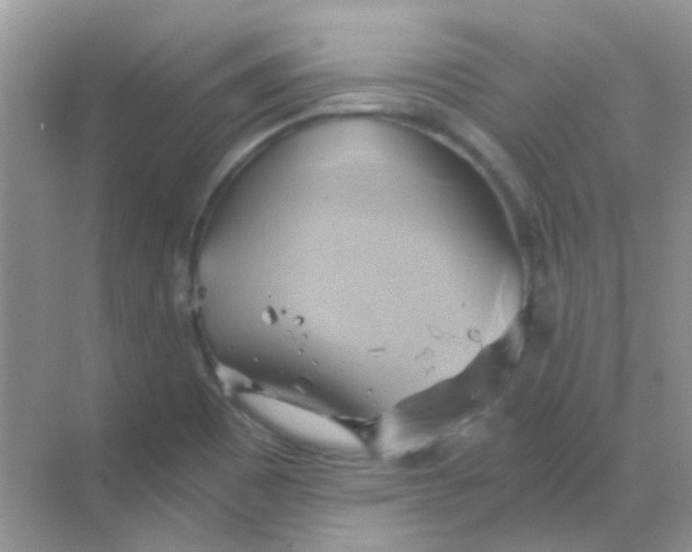 X0000068861465200605192004