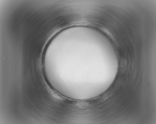 X0000068861466200605192004