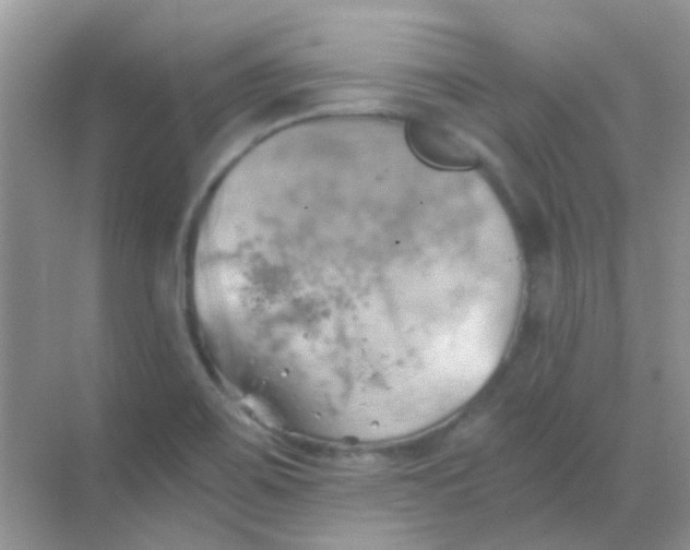 X0000068861467200605192004