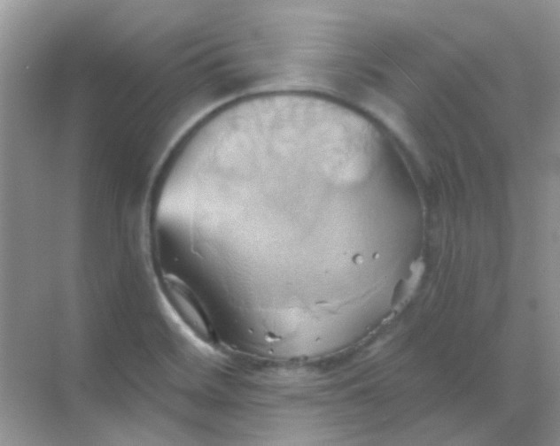 X0000068861468200605192004