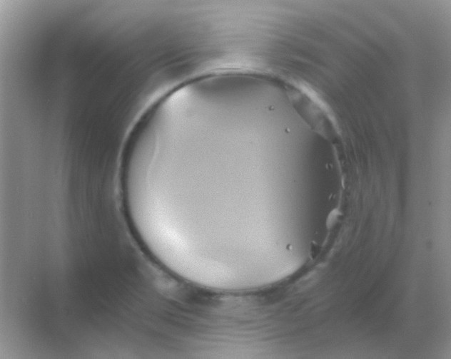 X0000068861469200605192004