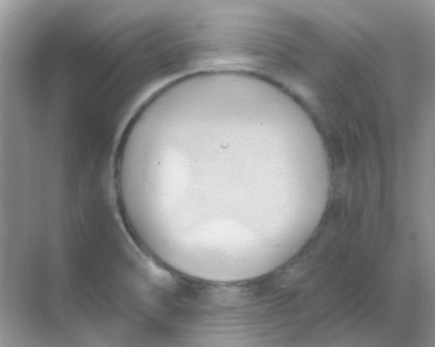 X0000068861470200605192004