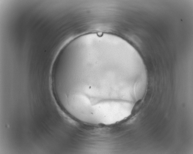 X0000068861471200605192004