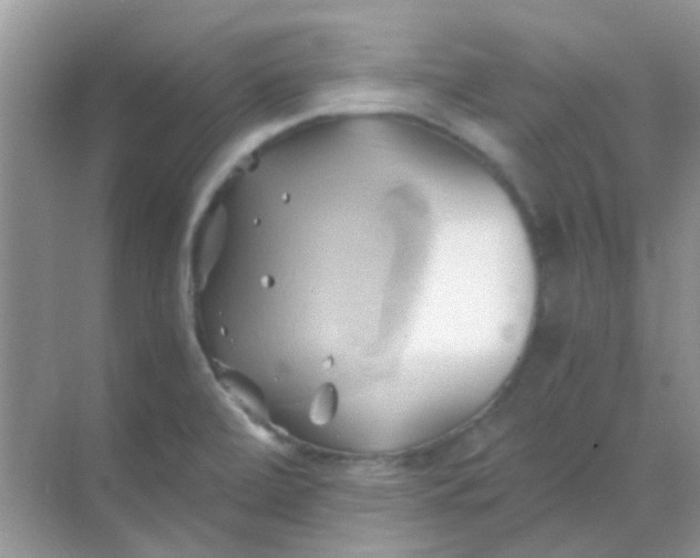 X0000068861472200605192004