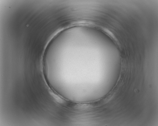 X0000068861474200605192004