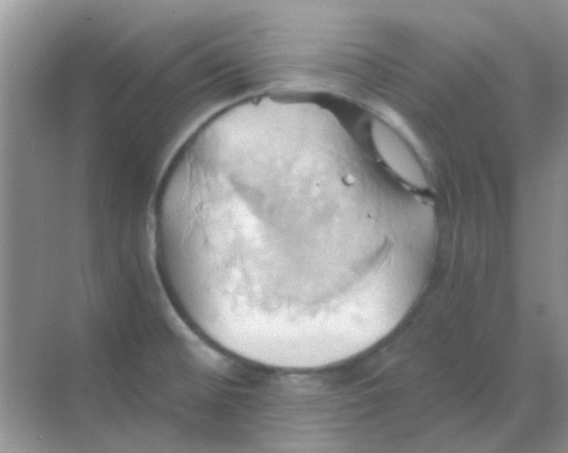 X0000068861476200605192004