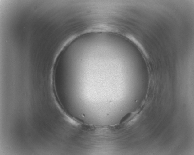 X0000068861477200605192004