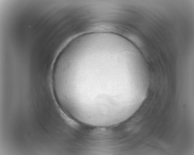 X0000068861478200605192004