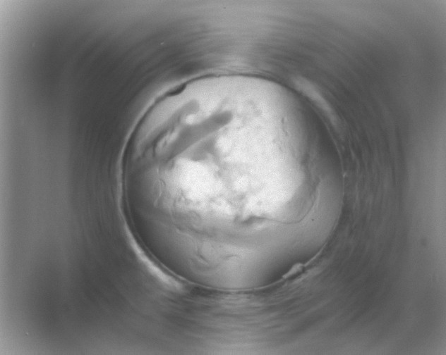 X0000068861479200605192004