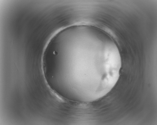 X0000068861480200605192004