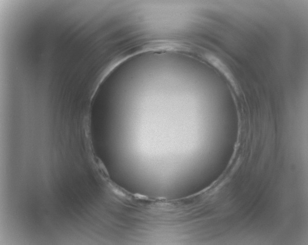 X0000068861481200605192004